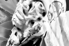 2022-04-16 _ MIX  3-2