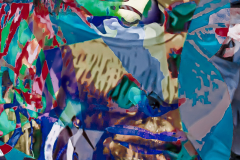 SCHOUPINAHAUSER (COLORED VERSION)