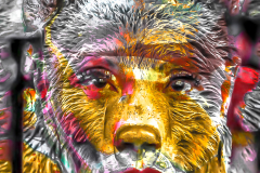 SPIRIT OF NANUQ