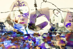 TRANSGENRE
