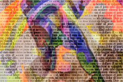 LOREM IPSUM DOLOR SIT AMET
