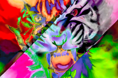 SHAGERA