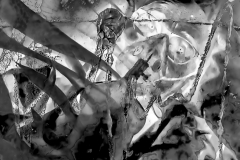 COVID IN B&W