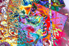 COLORED ORGASM