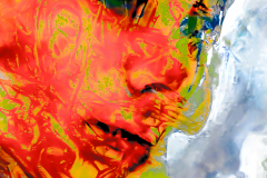 PLASTICIZED WOMAN