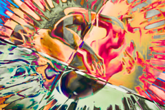 SEXPLOSION